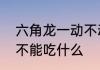 六角龙一动不动是怎么回事　六角龙不能吃什么