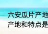 六安瓜片产地在金寨吗　六安瓜片的产地和特点是什么