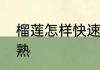 榴莲怎样快速催熟　榴莲怎样快速催熟