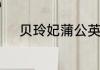 贝玲妃蒲公英流光飞舞蜜粉用法