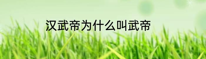 汉武帝为什么叫武帝