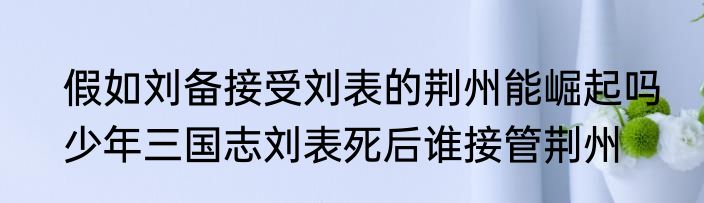 假如刘备接受刘表的荆州能崛起吗　少年三国志刘表死后谁接管荆州
