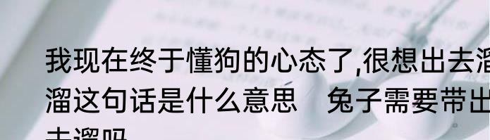 我现在终于懂狗的心态了,很想出去溜溜这句话是什么意思　兔子需要带出去遛吗