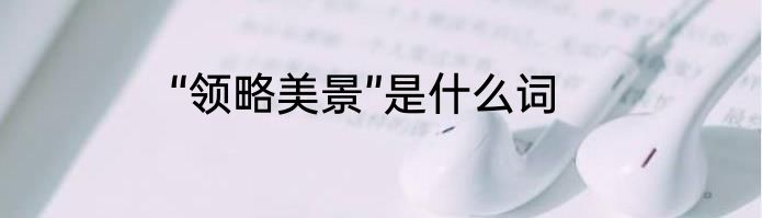 “领略美景”是什么词