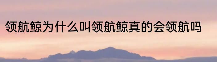 领航鲸为什么叫领航鲸真的会领航吗