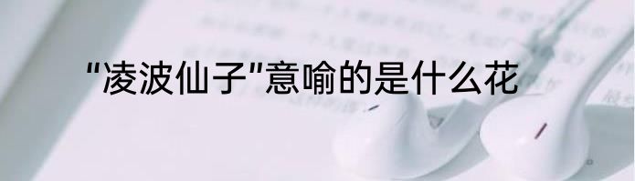 “凌波仙子”意喻的是什么花