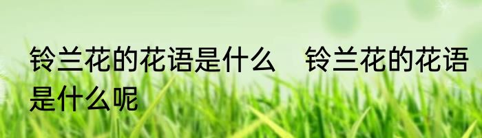 铃兰花的花语是什么　铃兰花的花语是什么呢