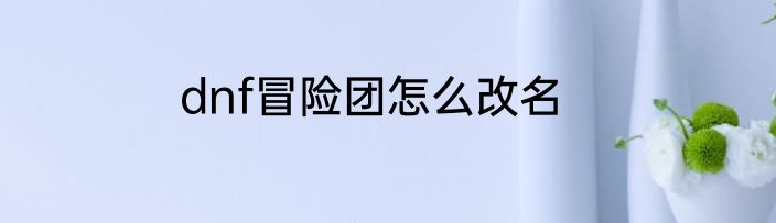 dnf冒险团怎么改名