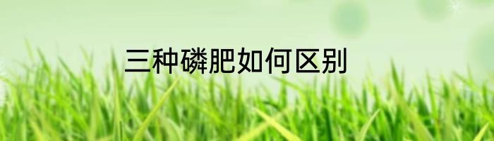 三种磷肥如何区别