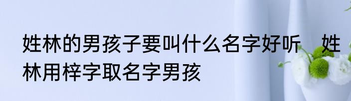 姓林的男孩子要叫什么名字好听　姓林用梓字取名字男孩