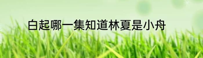 白起哪一集知道林夏是小舟