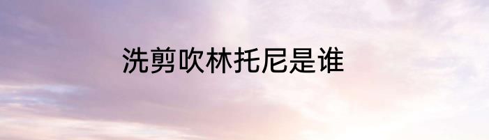 洗剪吹林托尼是谁