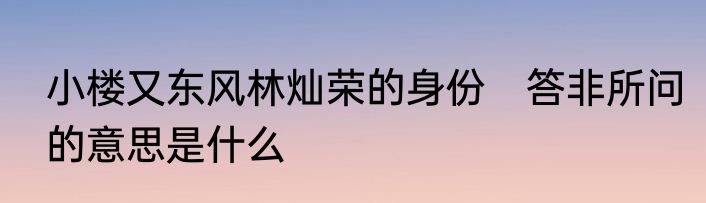 小楼又东风林灿荣的身份　答非所问的意思是什么