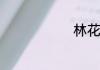 林花花扮演者
