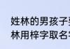 姓林的男孩子要叫什么名字好听　姓林用梓字取名字男孩