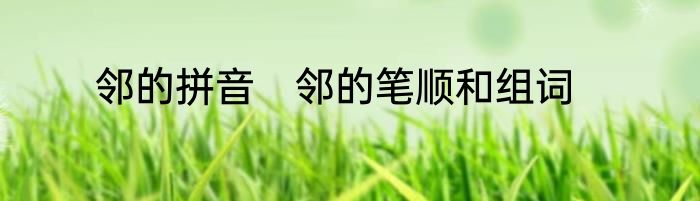 邻的拼音　邻的笔顺和组词