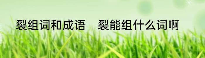 裂组词和成语　裂能组什么词啊