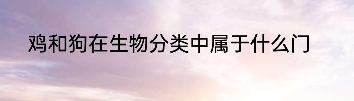 鸡和狗在生物分类中属于什么门