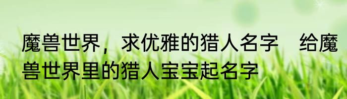 魔兽世界，求优雅的猎人名字　给魔兽世界里的猎人宝宝起名字