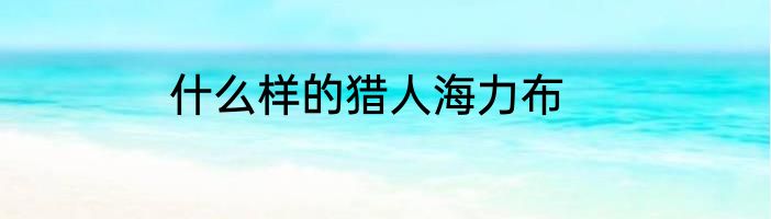 什么样的猎人海力布