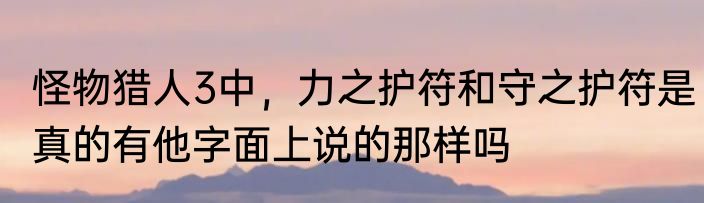 怪物猎人3中，力之护符和守之护符是真的有他字面上说的那样吗
