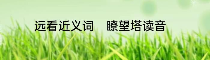 远看近义词　瞭望塔读音