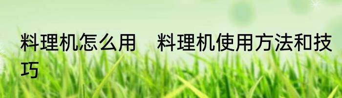 料理机怎么用　料理机使用方法和技巧