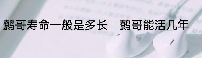 鹩哥寿命一般是多长　鹩哥能活几年