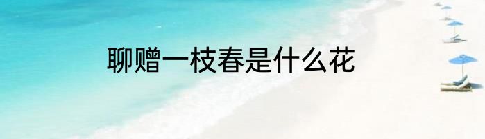 聊赠一枝春是什么花