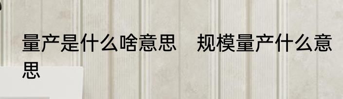 量产是什么啥意思　规模量产什么意思