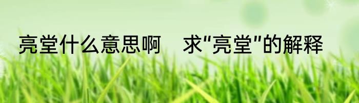 亮堂什么意思啊　求“亮堂”的解释
