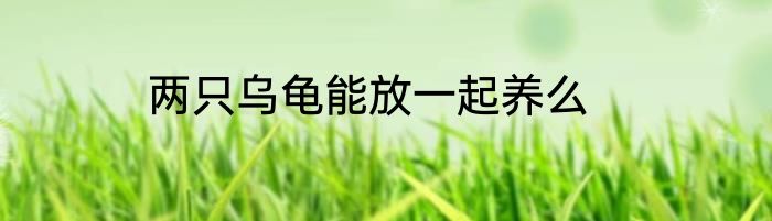 两只乌龟能放一起养么