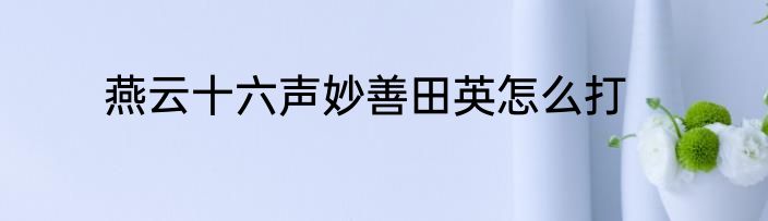 燕云十六声妙善田英怎么打