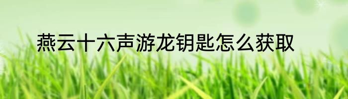燕云十六声游龙钥匙怎么获取