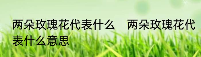 两朵玫瑰花代表什么　两朵玫瑰花代表什么意思