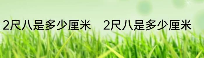 2尺八是多少厘米　2尺八是多少厘米