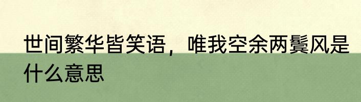 世间繁华皆笑语，唯我空余两鬓风是什么意思
