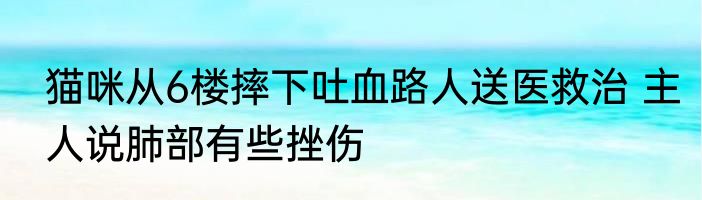猫咪从6楼摔下吐血路人送医救治 主人说肺部有些挫伤