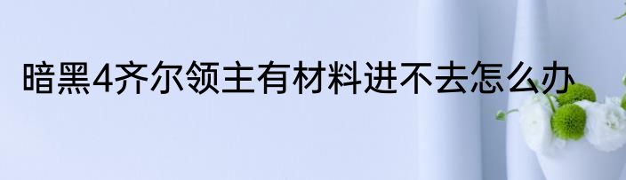 暗黑4齐尔领主有材料进不去怎么办