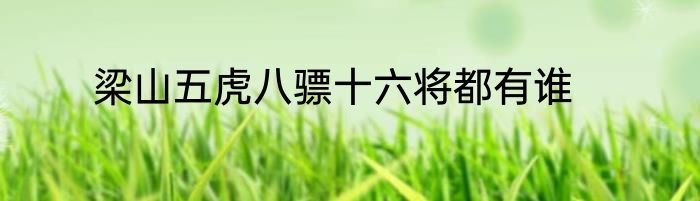 梁山五虎八骠十六将都有谁