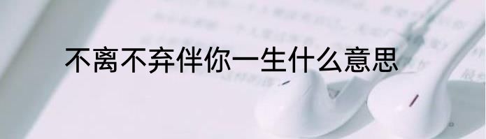 不离不弃伴你一生什么意思