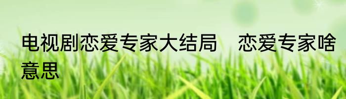 电视剧恋爱专家大结局　恋爱专家啥意思