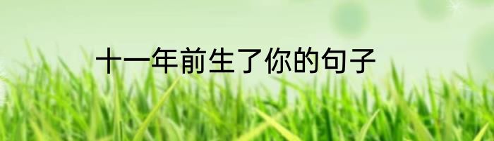十一年前生了你的句子