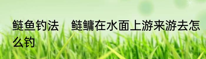 鲢鱼钓法　鲢鳙在水面上游来游去怎么钓