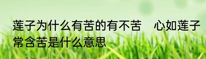 莲子为什么有苦的有不苦　心如莲子常含苦是什么意思