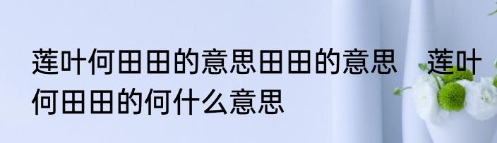 莲叶何田田的意思田田的意思　莲叶何田田的何什么意思