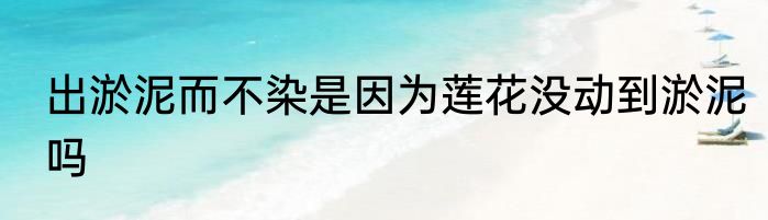 出淤泥而不染是因为莲花没动到淤泥吗