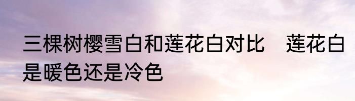 三棵树樱雪白和莲花白对比　莲花白是暖色还是冷色