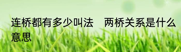 连桥都有多少叫法　两桥关系是什么意思