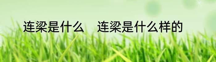 连梁是什么　连梁是什么样的